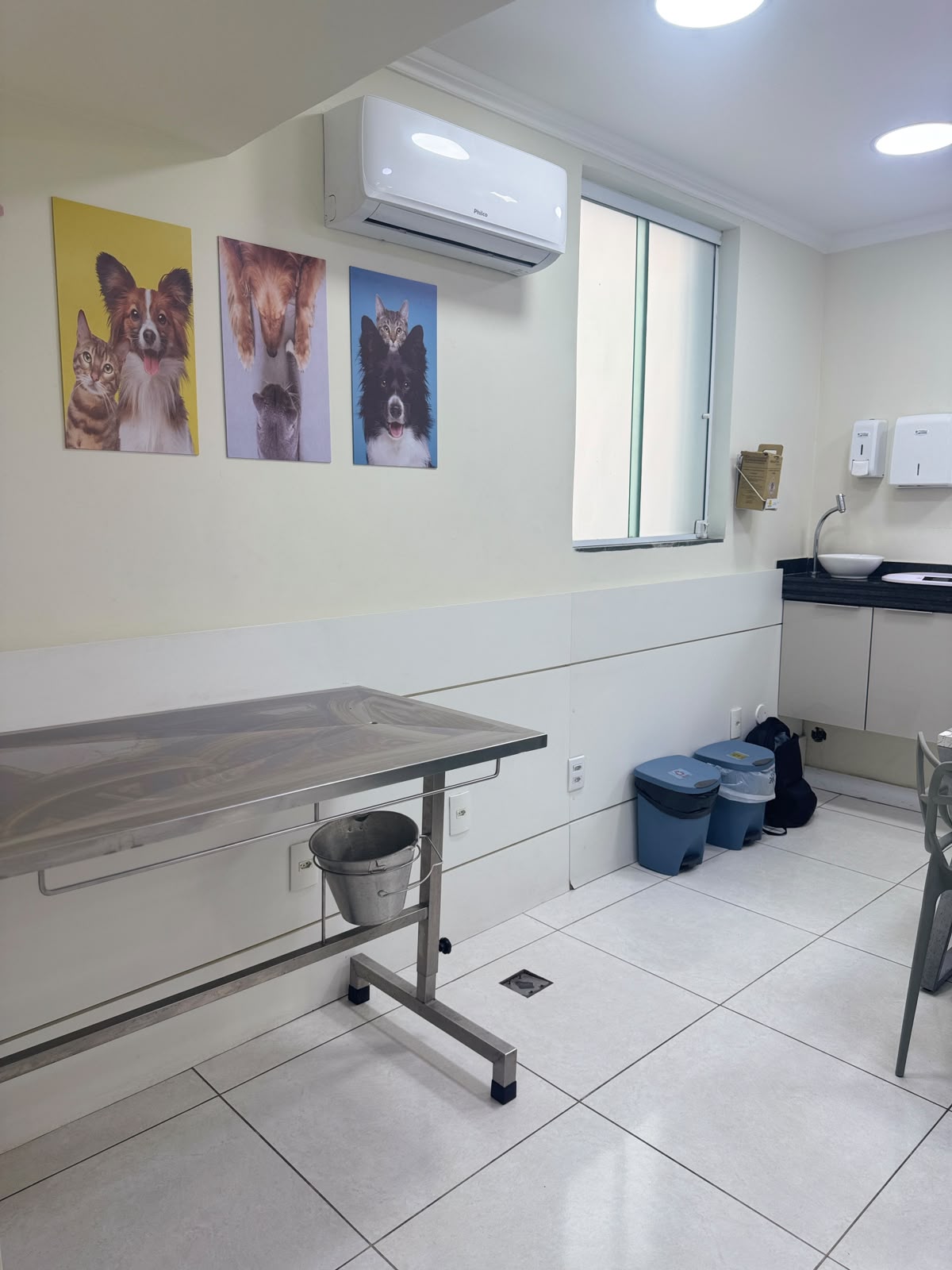 Consultório da Cavet com ponto de oxigênio e mesa de atendimento