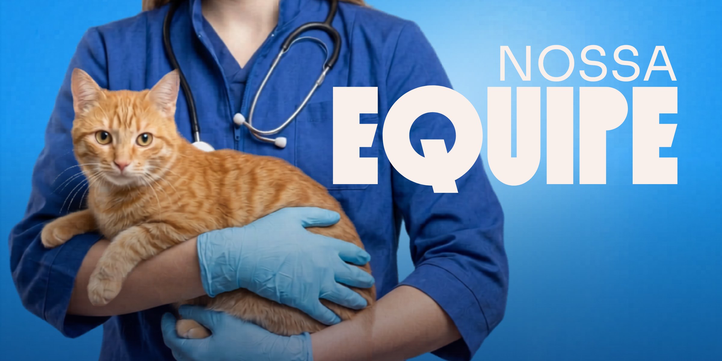 Veterinária da Cavet segurando um gato, com o título Nossa Equipe.