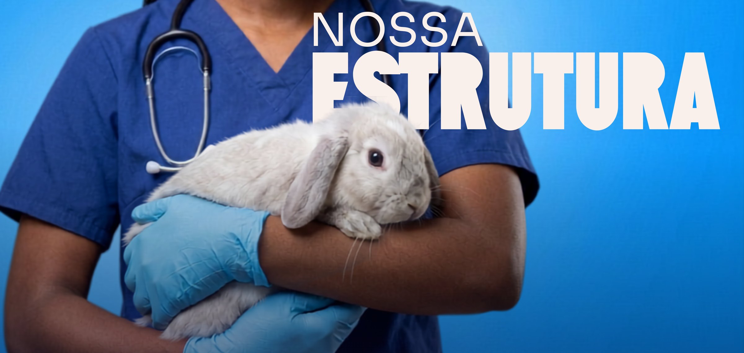 Veterinária da Cavet Tijuca segurando um coelho, com o título Nossa Estrutura.
