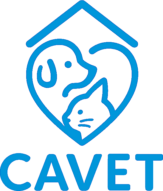 Cavet Tijuca